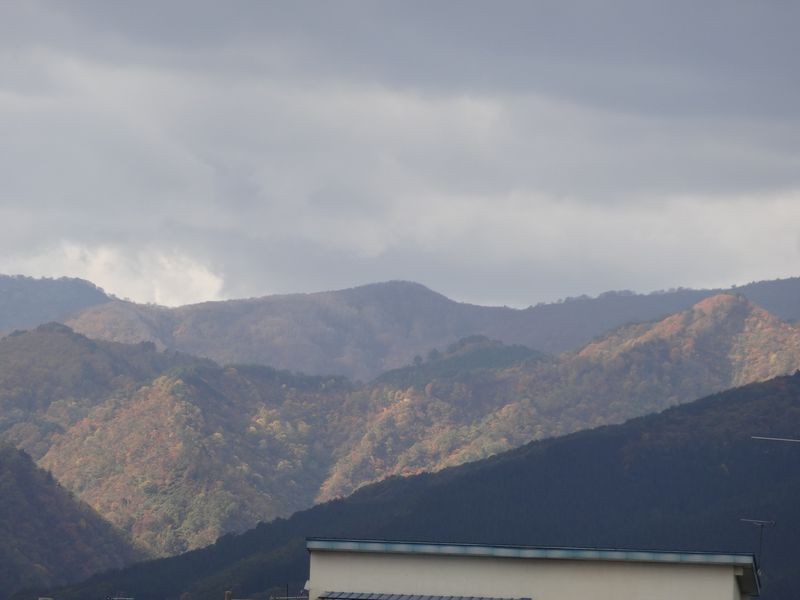 【'14 紅葉情報】 市役所第二庁舎から見る西山(10月29日)