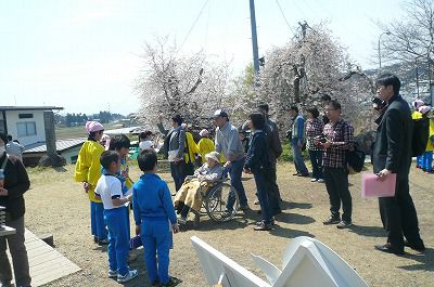 久保桜で「桜っ子ガイド」が登場しました（4月29日）