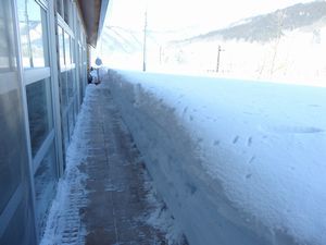 まなび館に雪の回廊がお目見えしました！