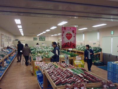 【成功者に学べ！～人気直売所の視察に行ってきました】