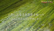 長井の秋（H27.9.27)
