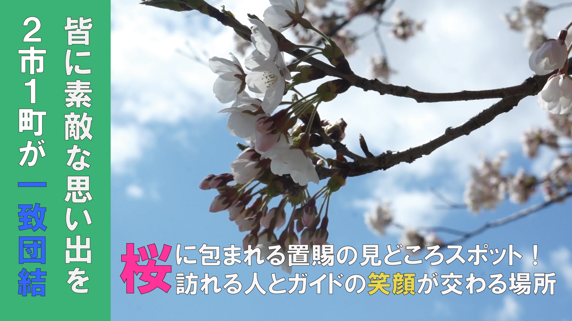    桜の下で華麗な舞を披露~ 置賜さくら回廊「花咲きイベント」~（H30.4.13)