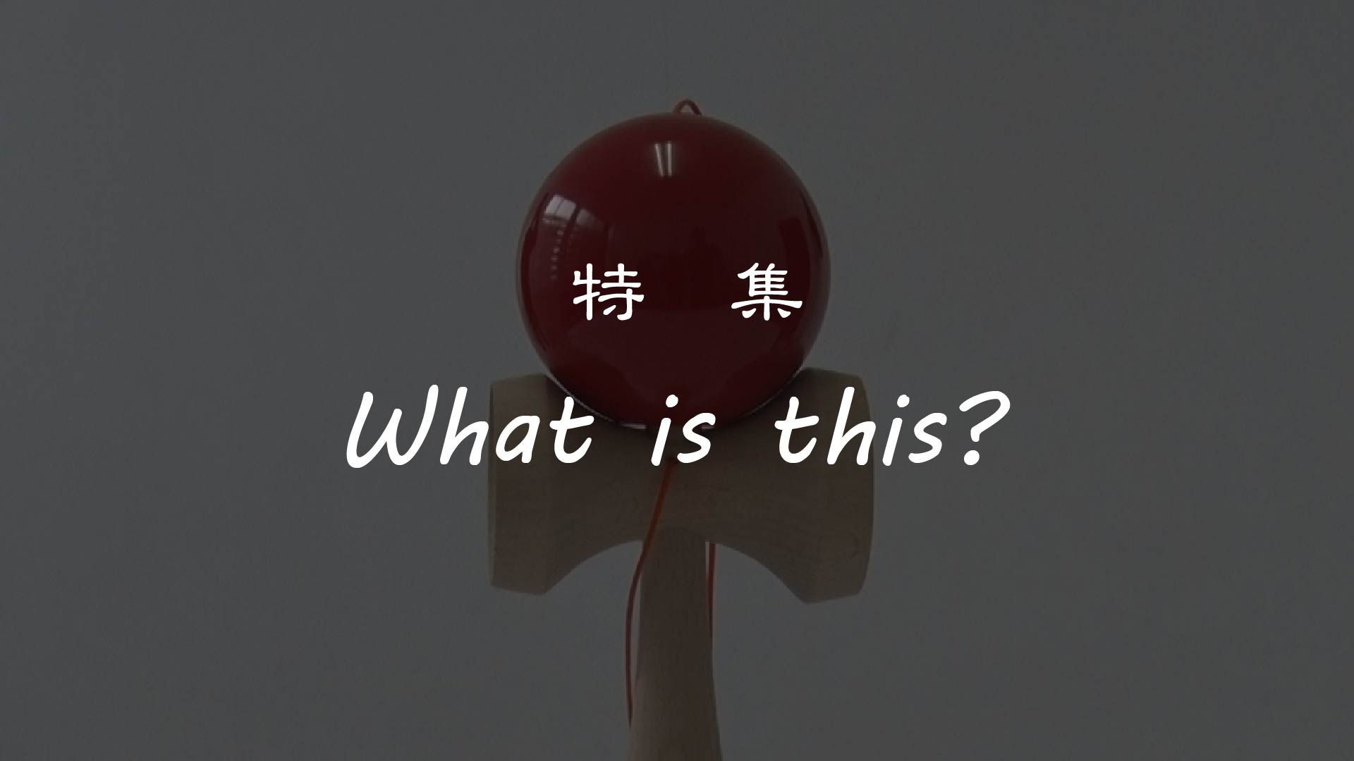 【長井市】 特集 『What is this？』 長井のけん玉 編 
