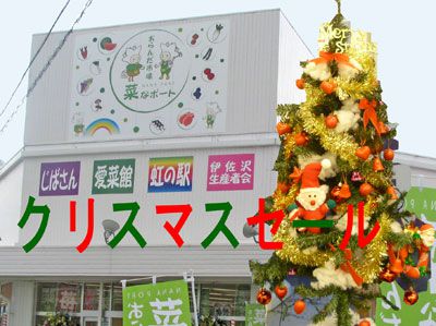 【菜なポートクリスマスセール明日から開催♪】