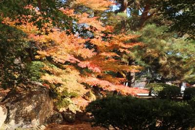 【紅葉真っ盛り！長井の秋いろいろ】