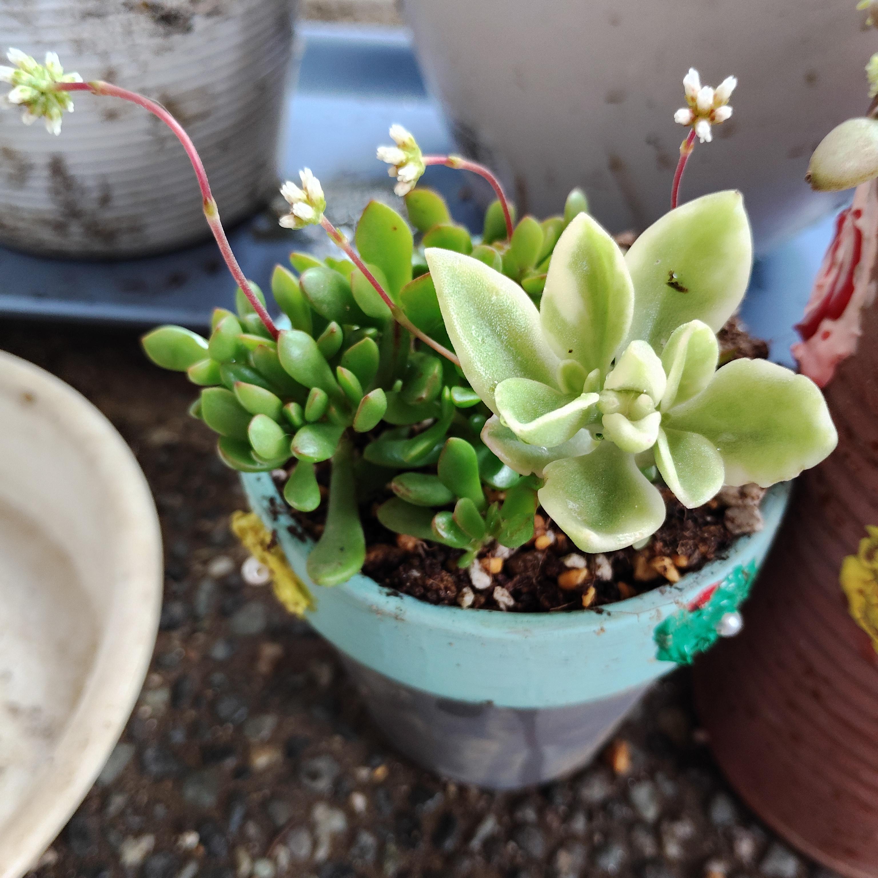 癒される～ 2
