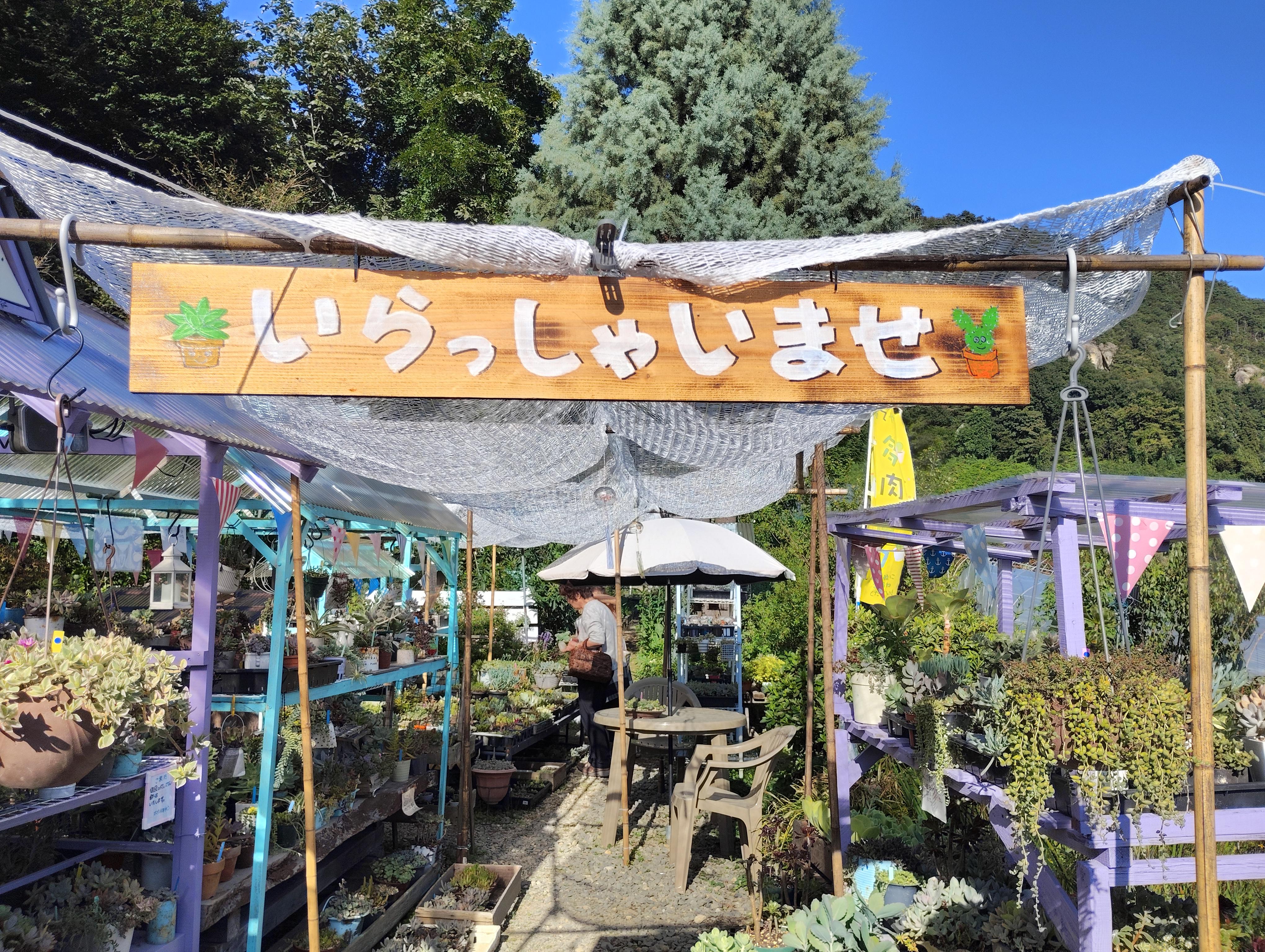 いらっしゃいませ(*^-^*)