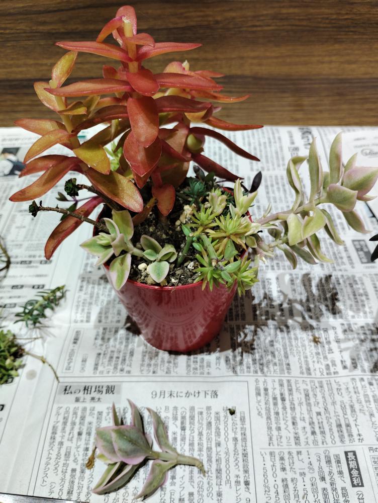 文化祭に向けて…