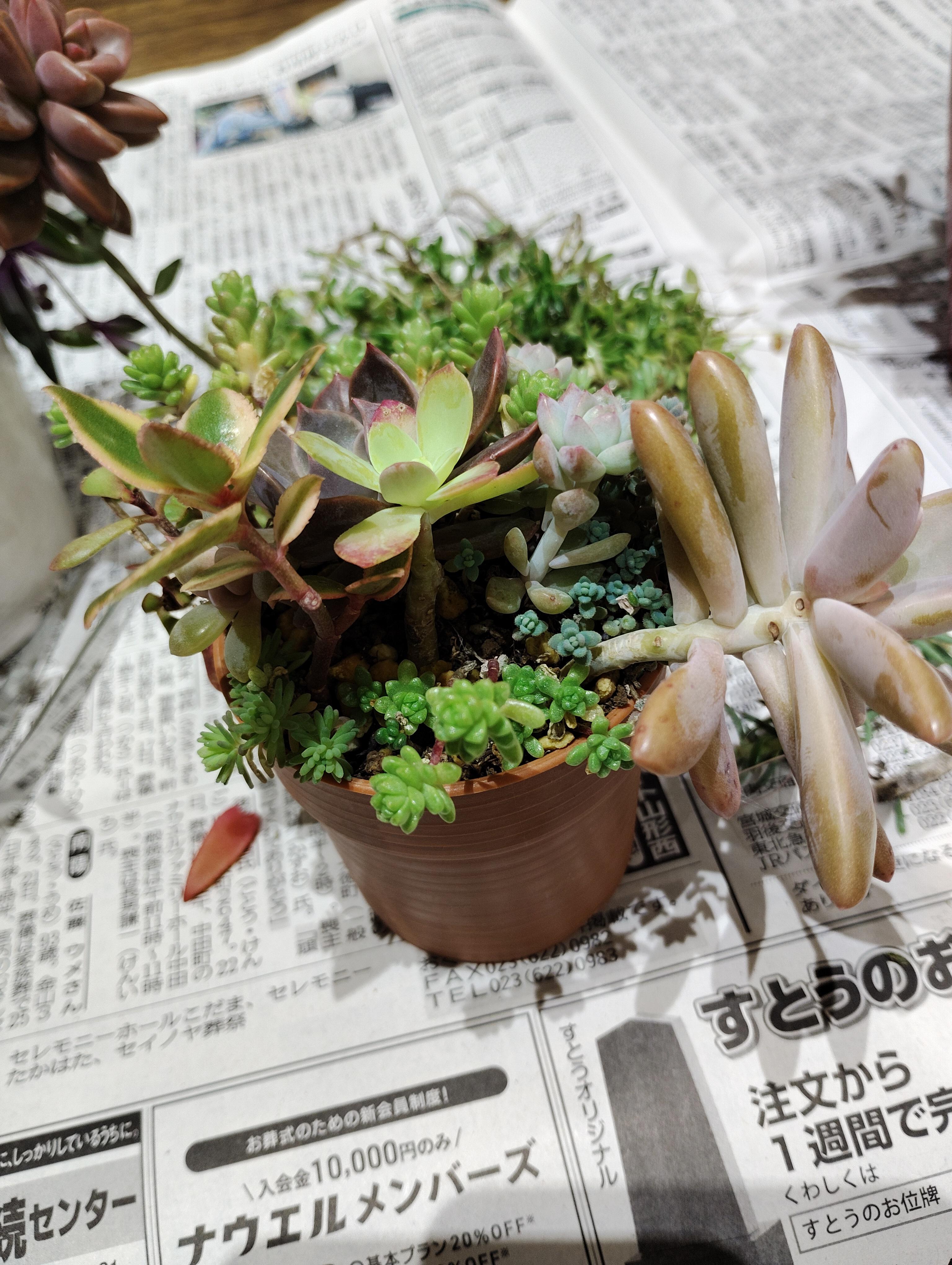 文化祭に向けて…