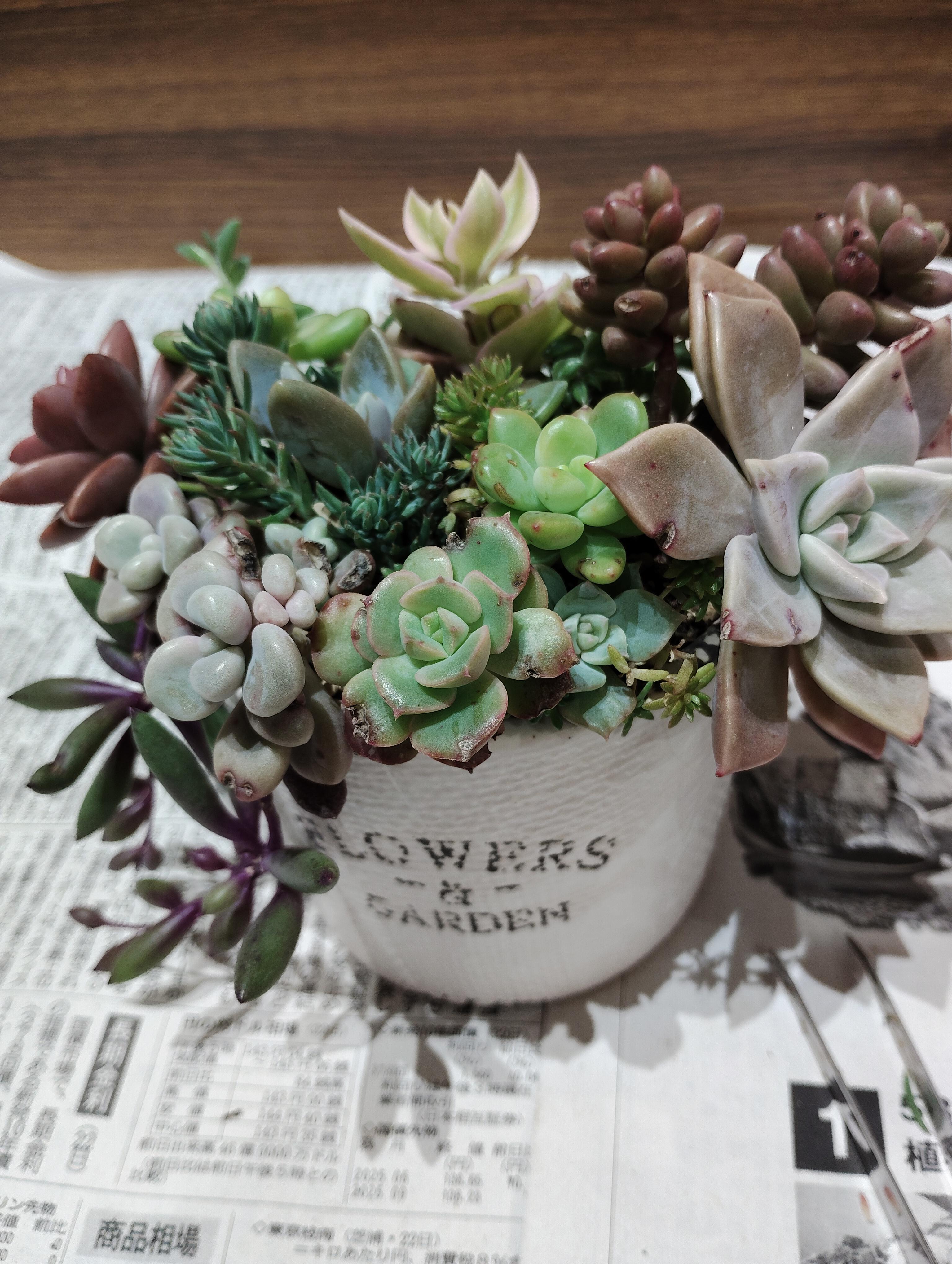 文化祭に向けて…