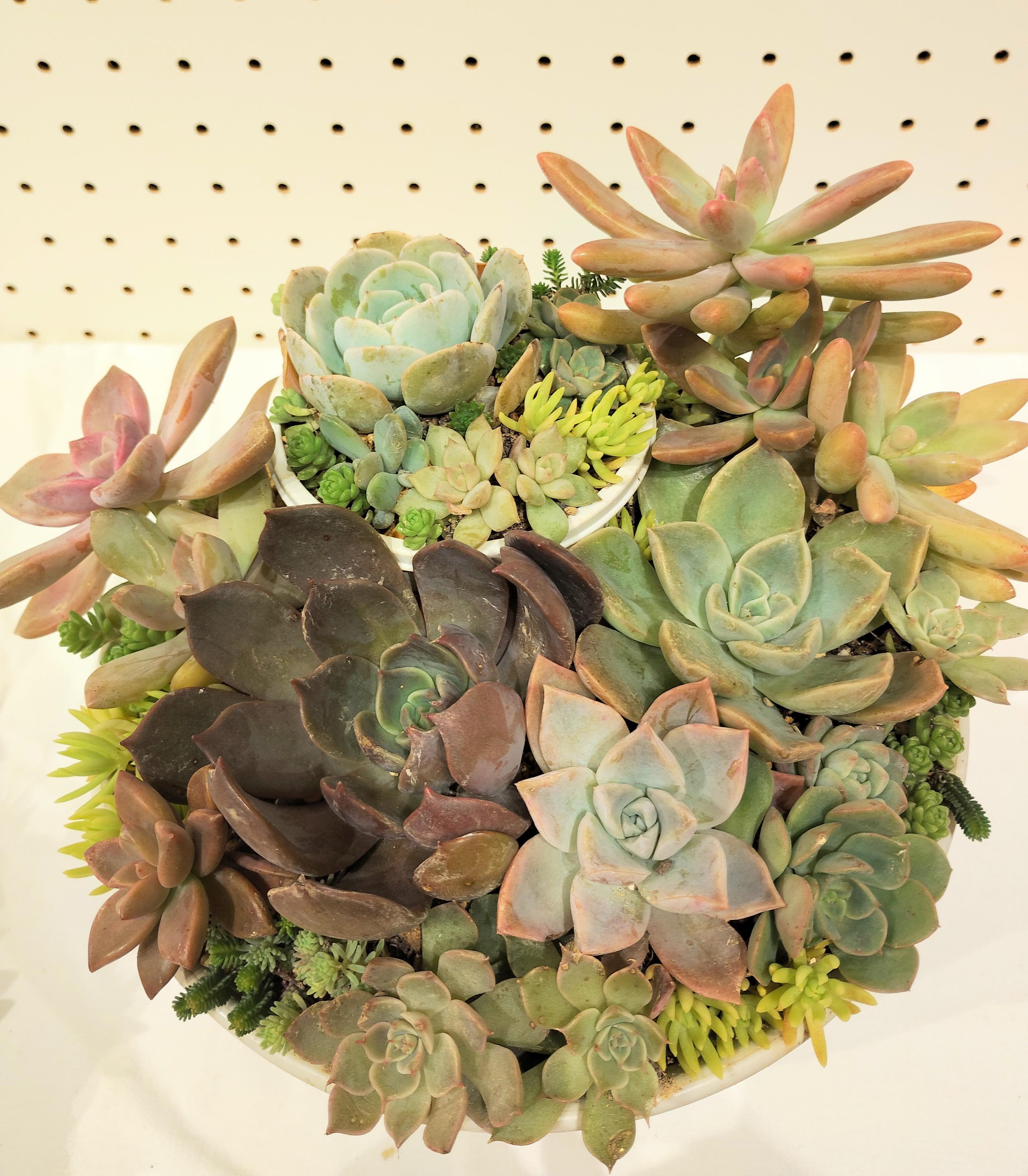 中川地区文化祭 1