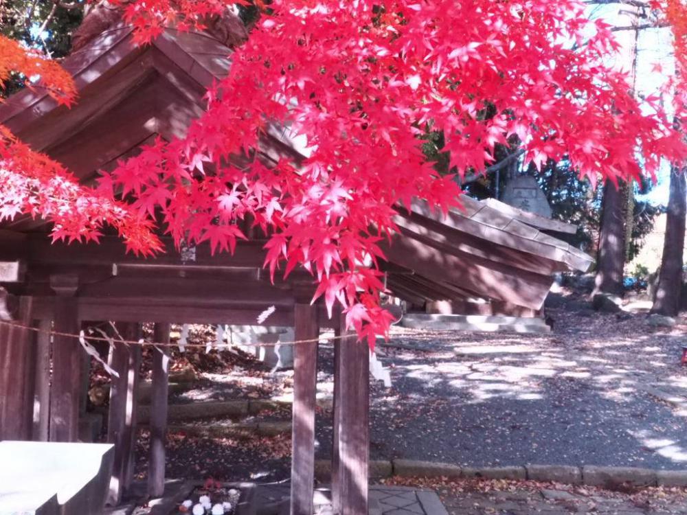 紅葉（熊野大社＆烏帽子山）