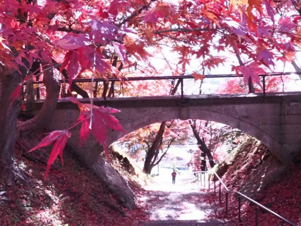 紅葉（熊野大社＆烏帽子山）