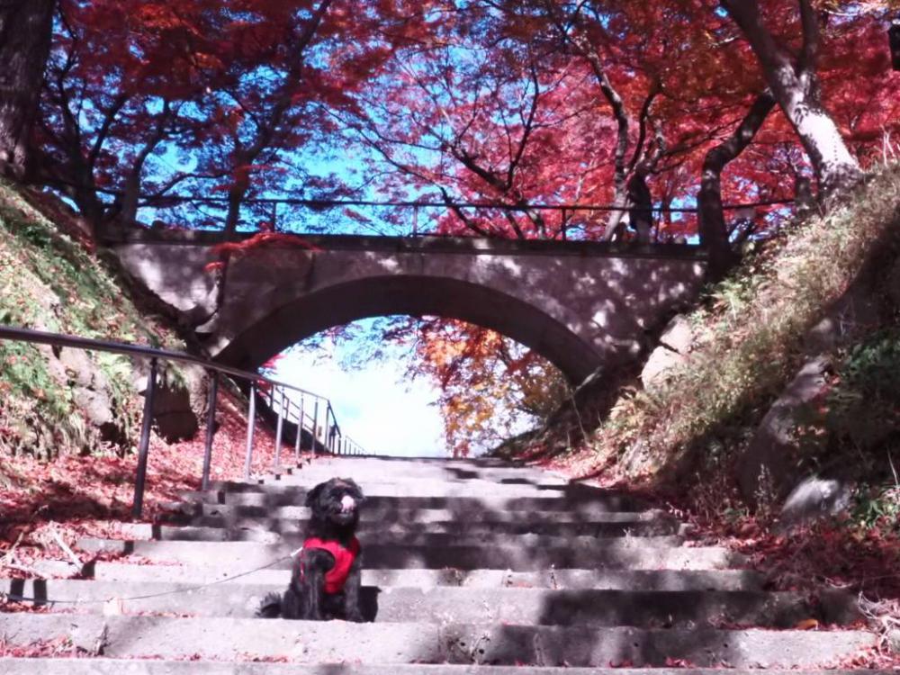 紅葉（熊野大社＆烏帽子山）