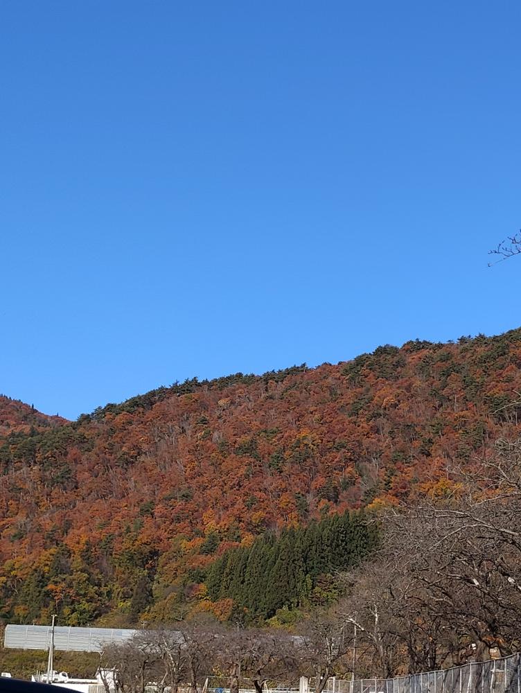 紅葉（中川公民館＆岩部山）