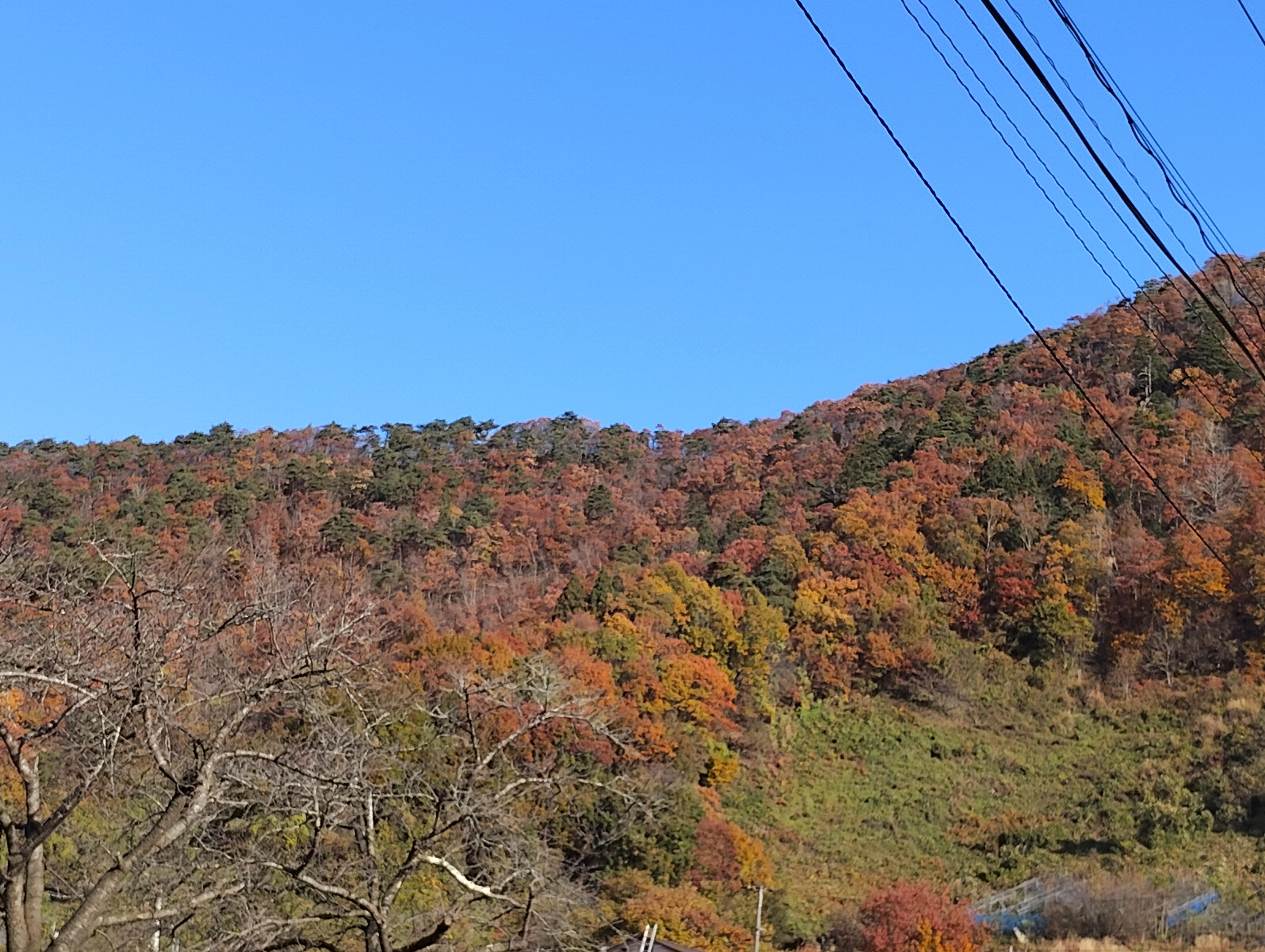 紅葉（中川公民館＆岩部山）