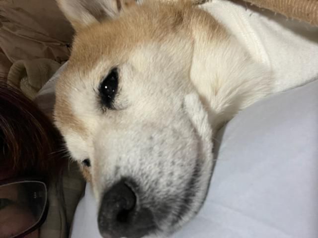眠いのです・・・