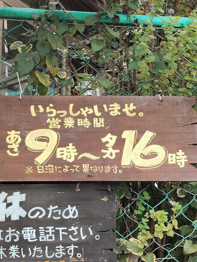 セールのお知らせ（ガーデン多肉ゆう）