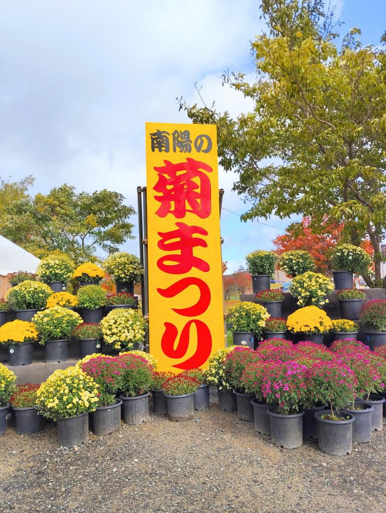 南陽の菊まつり(花公園)