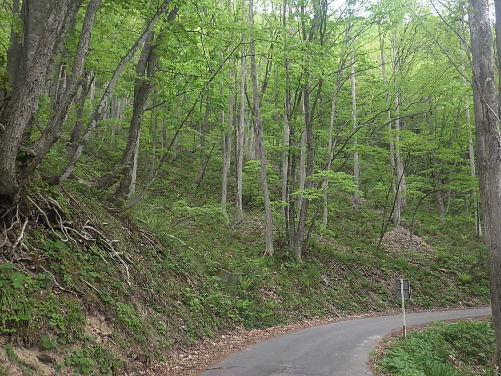 滑川治山工事