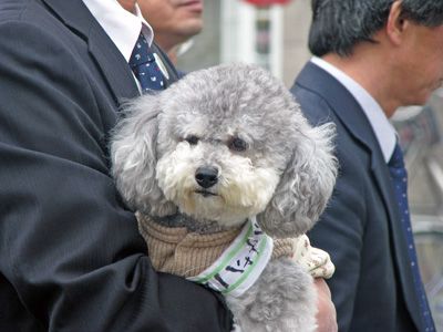 一日店長