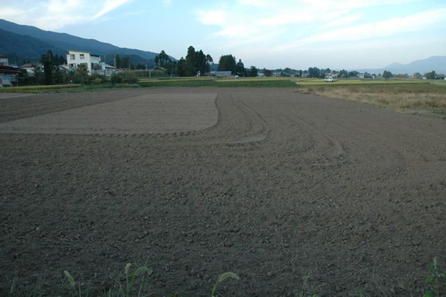 【種まき】2004