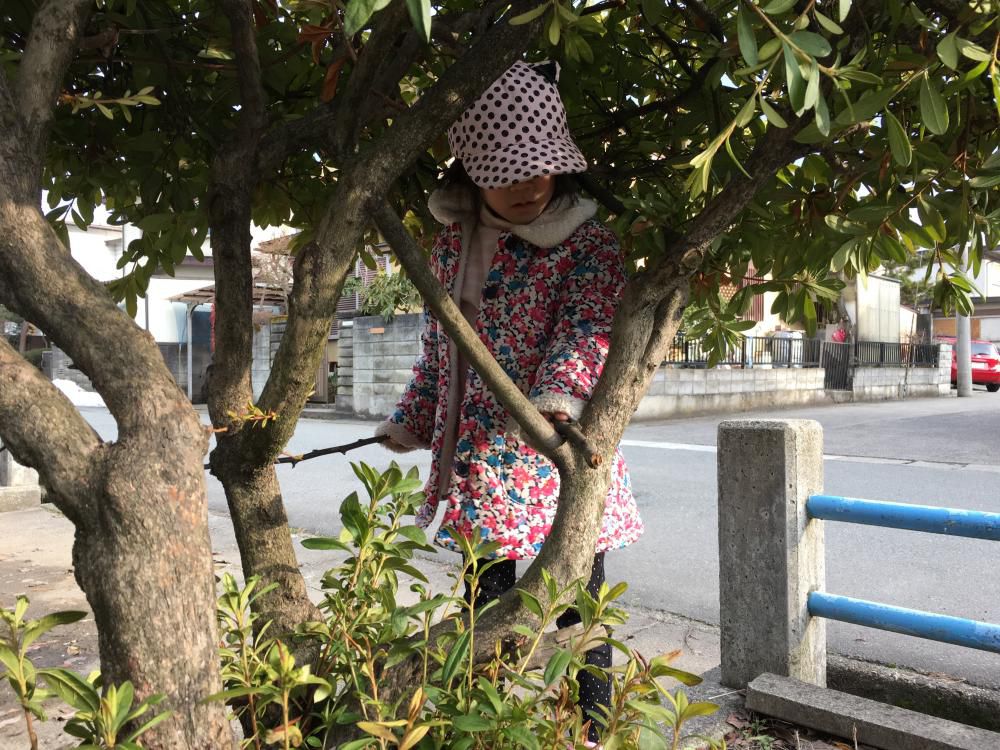 モチベーションの三点セット
