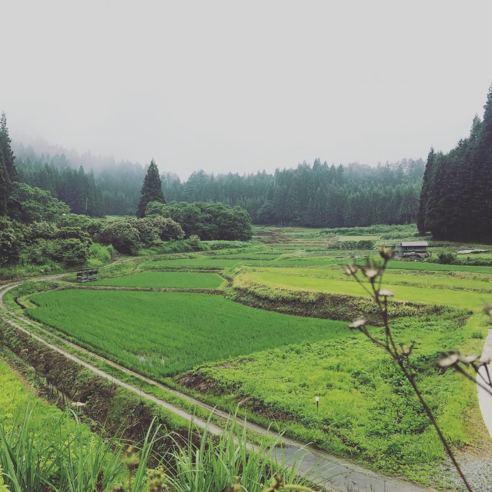 里山の風景