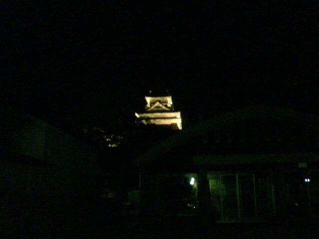 夜の上山城