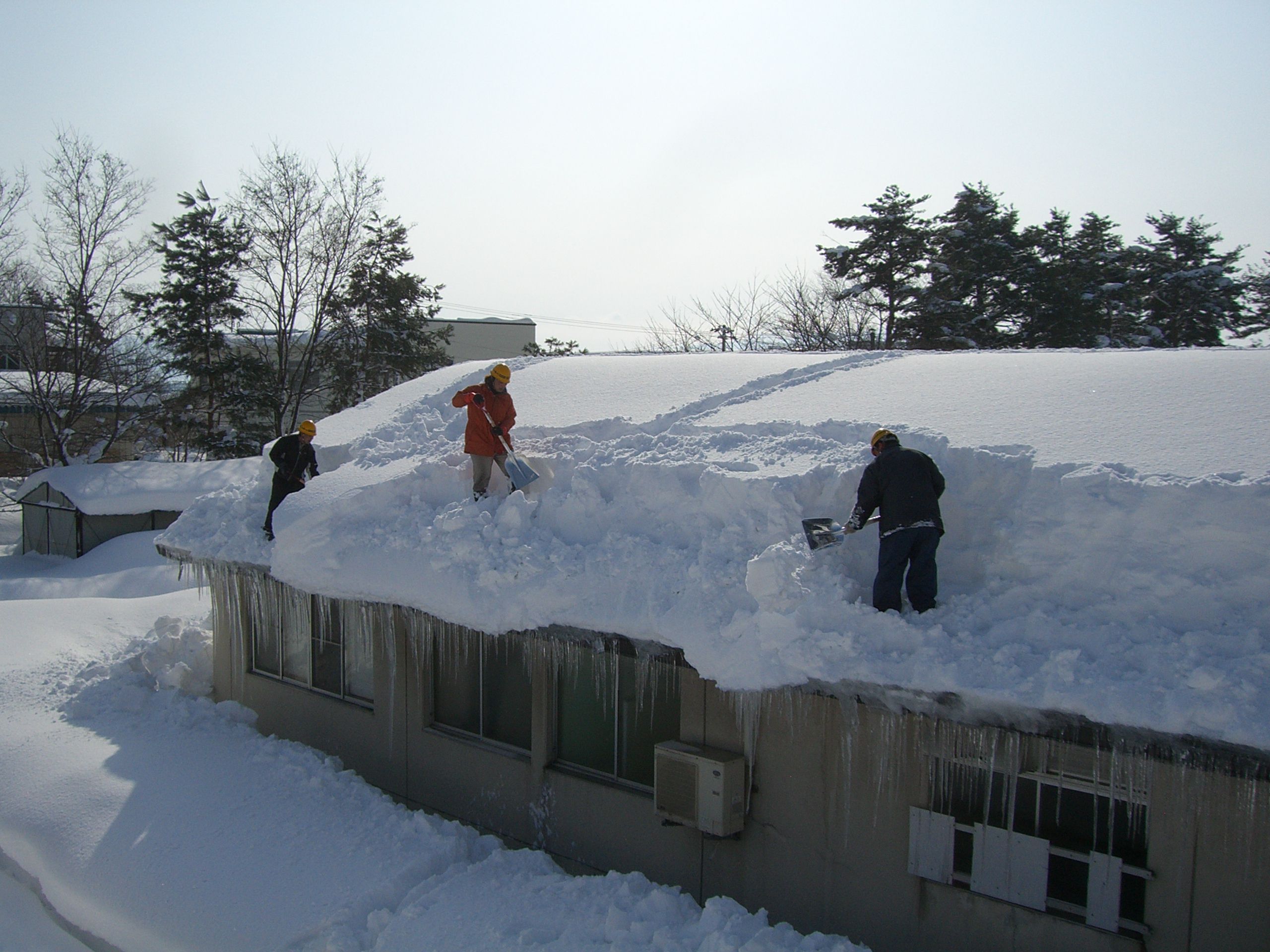長井市近隣で１月２９日除雪ボランティア実施