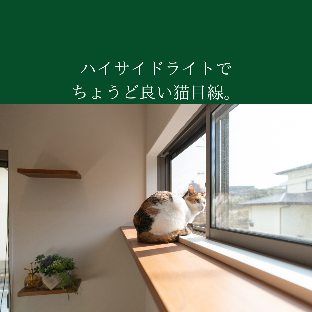 【実例】猫と暮らす家