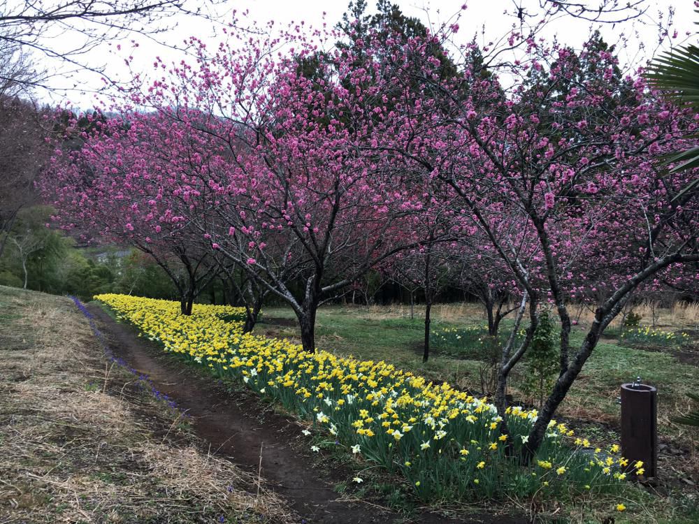 新年度のご挨拶