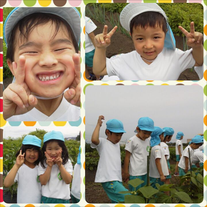 野菜の収穫♪(年長組)