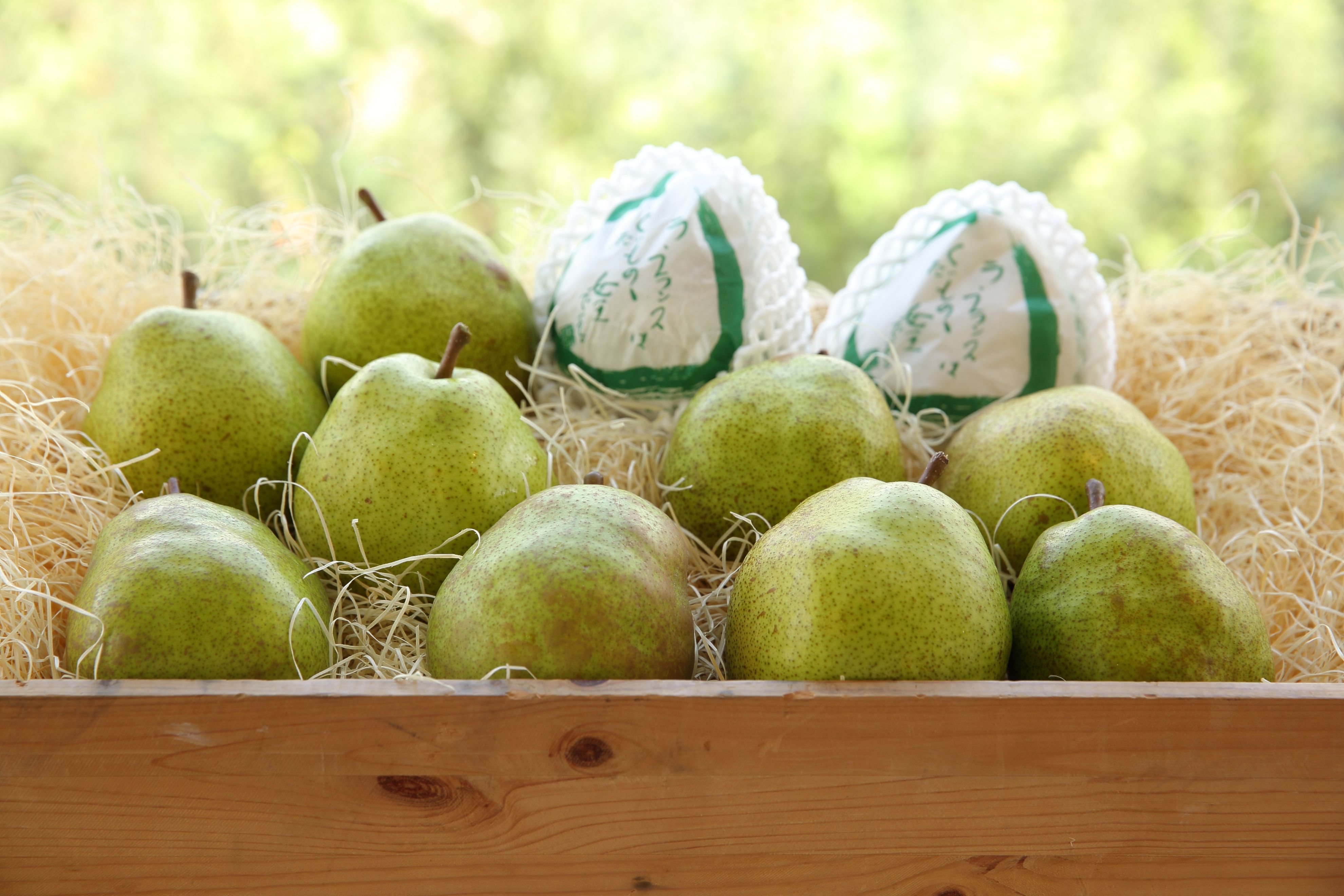 ラ・フランス出荷中!