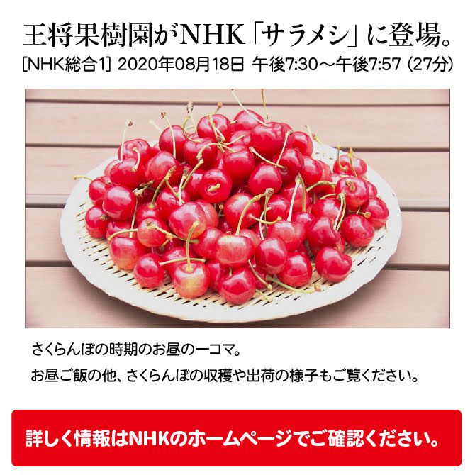 NHK「サラメシ」でご紹介いただきました！