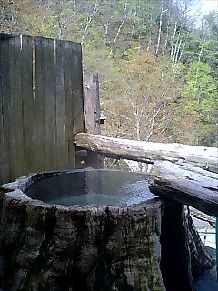 新緑の露天風呂（根っこ風呂）from新高湯温泉