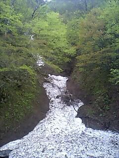 五月雨を集めて・・・と思ったら？　川でなく雪渓です。