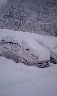 一晩で２０cm超の雪が車に！