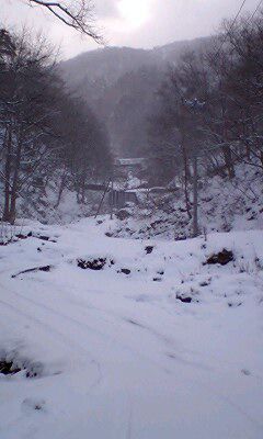 山奥のリアル画像・・・雪降りです。