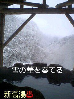 【初雪情報】“雪の華”満開