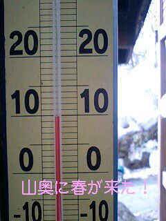 【山奥にも春が来ました】気温１０℃！