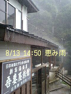 【真夏！恵みの雨】雨が気持ちよく降りました。