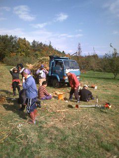 秋の風物詩　カヤ刈り作業とリンゴ畑