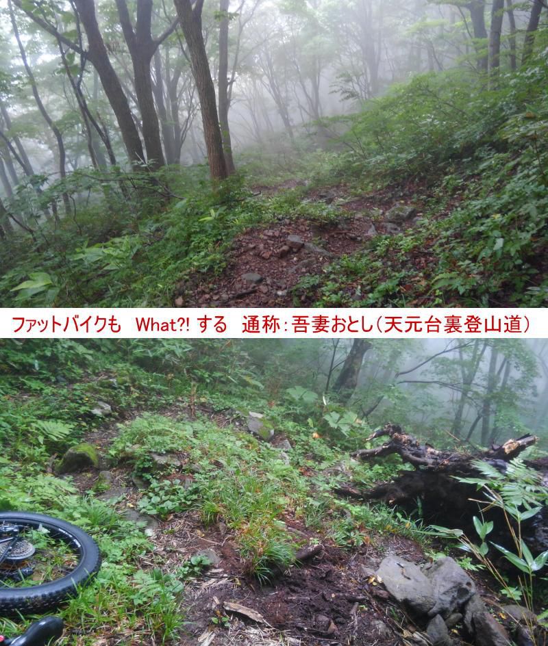 【登山道」新高湯～天元台　アマくは、ないですよぉ～♪