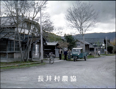 長井村農協