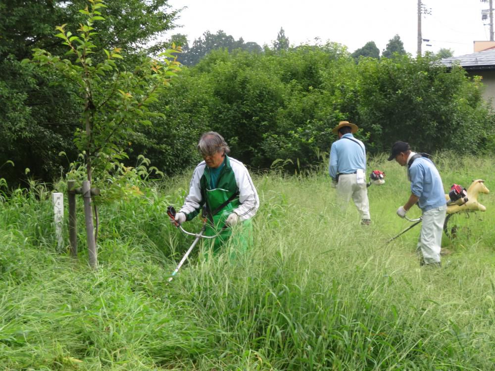 草刈り作業、きつかった！