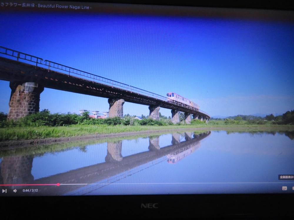 写真のような動画、動画のような写真？