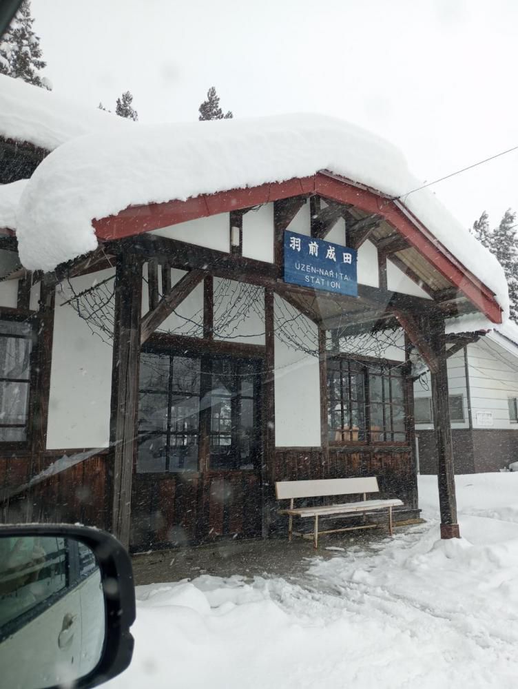 一生の思い出になります