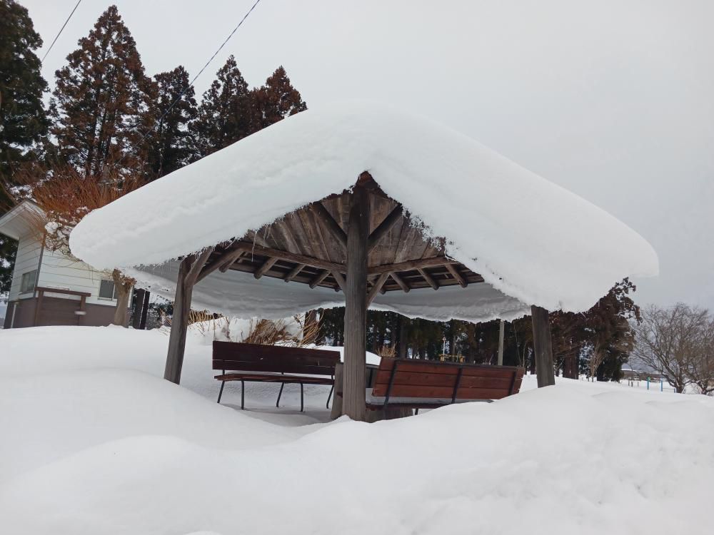 雪のない時にまた来たい