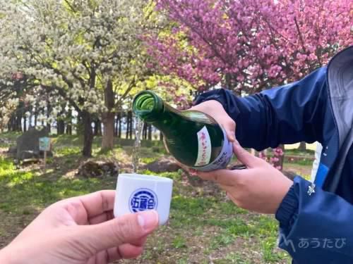 今年のお花見は4月19日